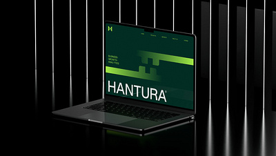 Hantura© Brand Logo Design brand brand design brand identity branding business business logo design graphic design identity logo logo design logos visual identity
