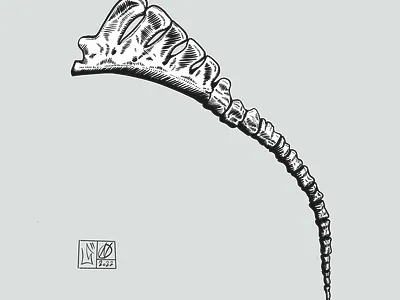 Tail | Comics Illustration art artwork comics design illustration