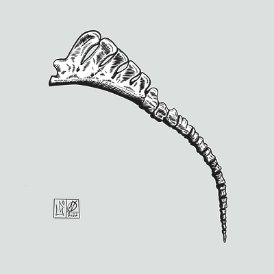 Tail | Comics Illustration art artwork comics design illustration