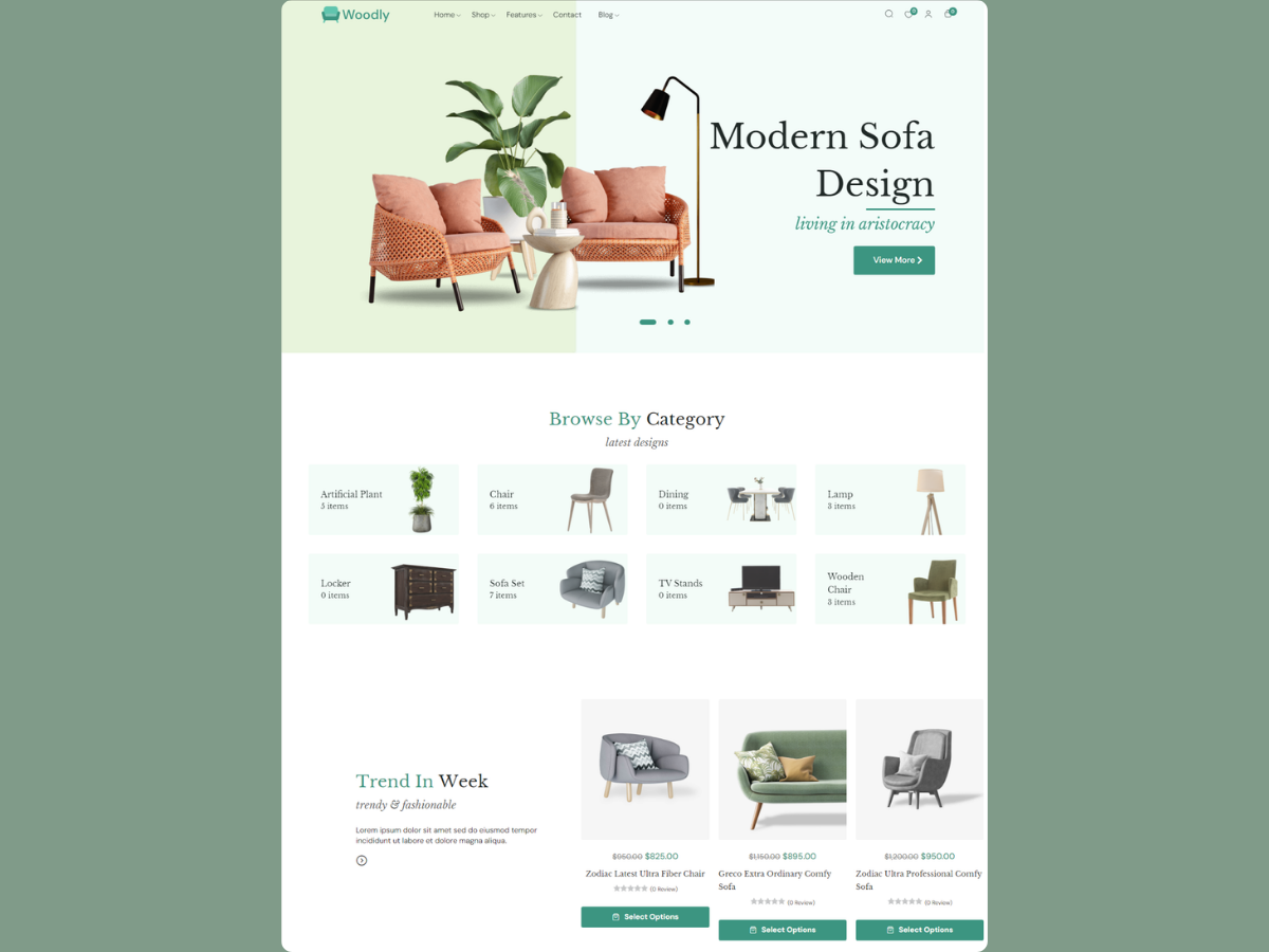 Example of Landing Page Design