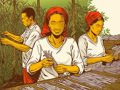 Vanilliana Packaging Illustration branding illustration retro vanili vanilla vanilla bean vanilliana vintage