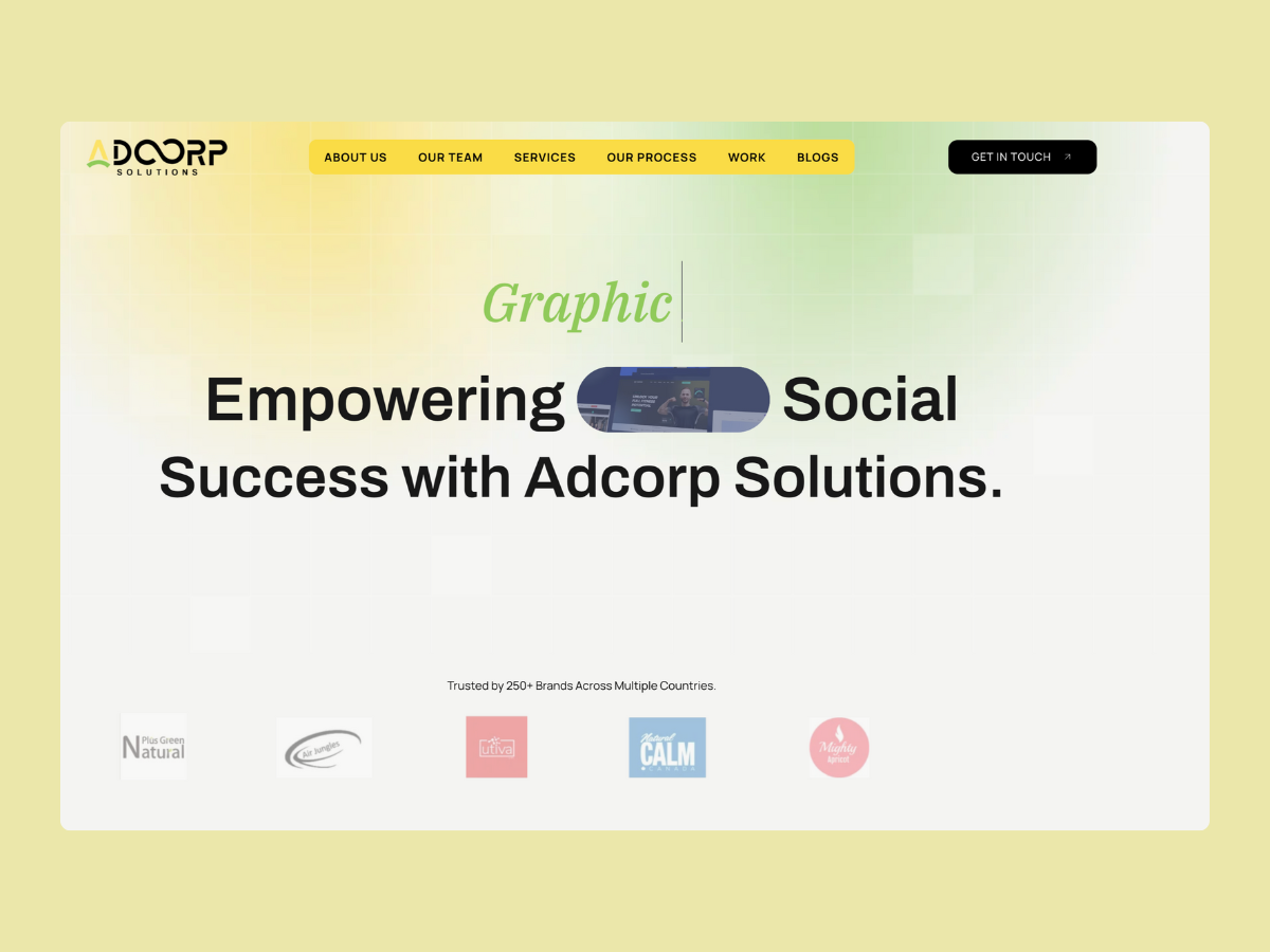 Example of Agency Website Design & Development