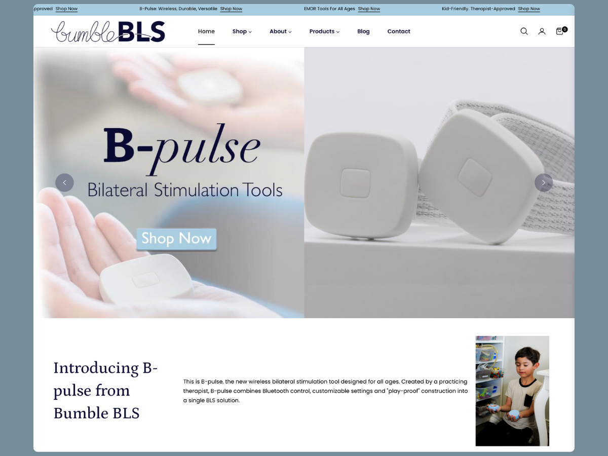 Example of Landing Page Design