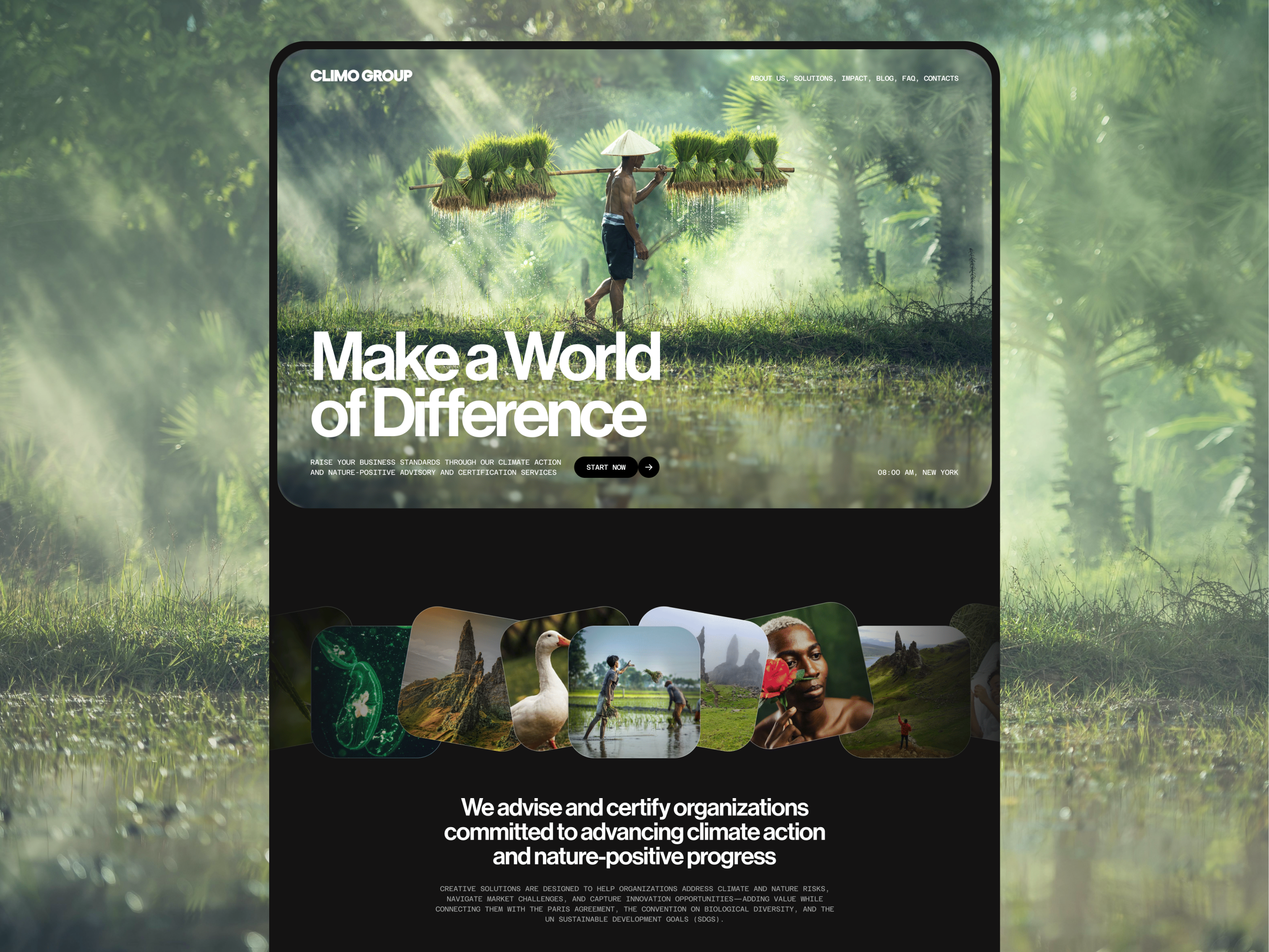 Corporate Website Design for Global Sustainability Consultancy ai generated branding branding design business consulting climate action company website consulting website corporate website design digital experience landing page modern website professional design responsive design sustainability ui ux web design