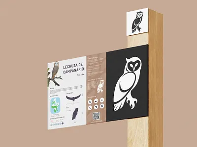 Infographic for owl aviary graphic design