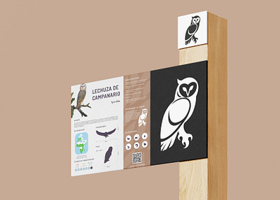 Infographic for owl aviary graphic design