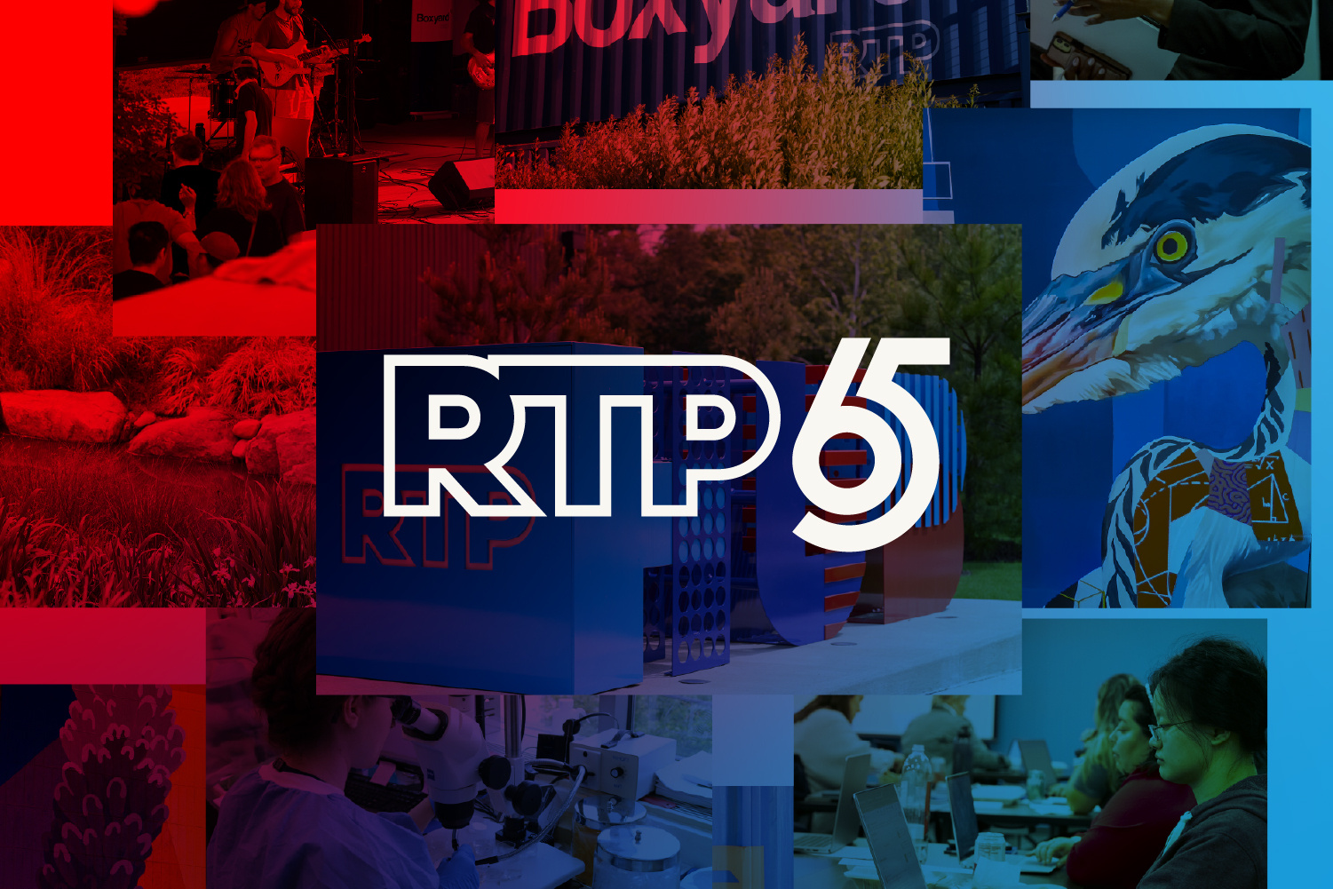 RTP 65 Years 65 year logo 65 years adobe illustrator anniversary branding brand design brand identity branding creative strategy graphic design logo logo design research research triangle park rtp rtp 65 social media vector