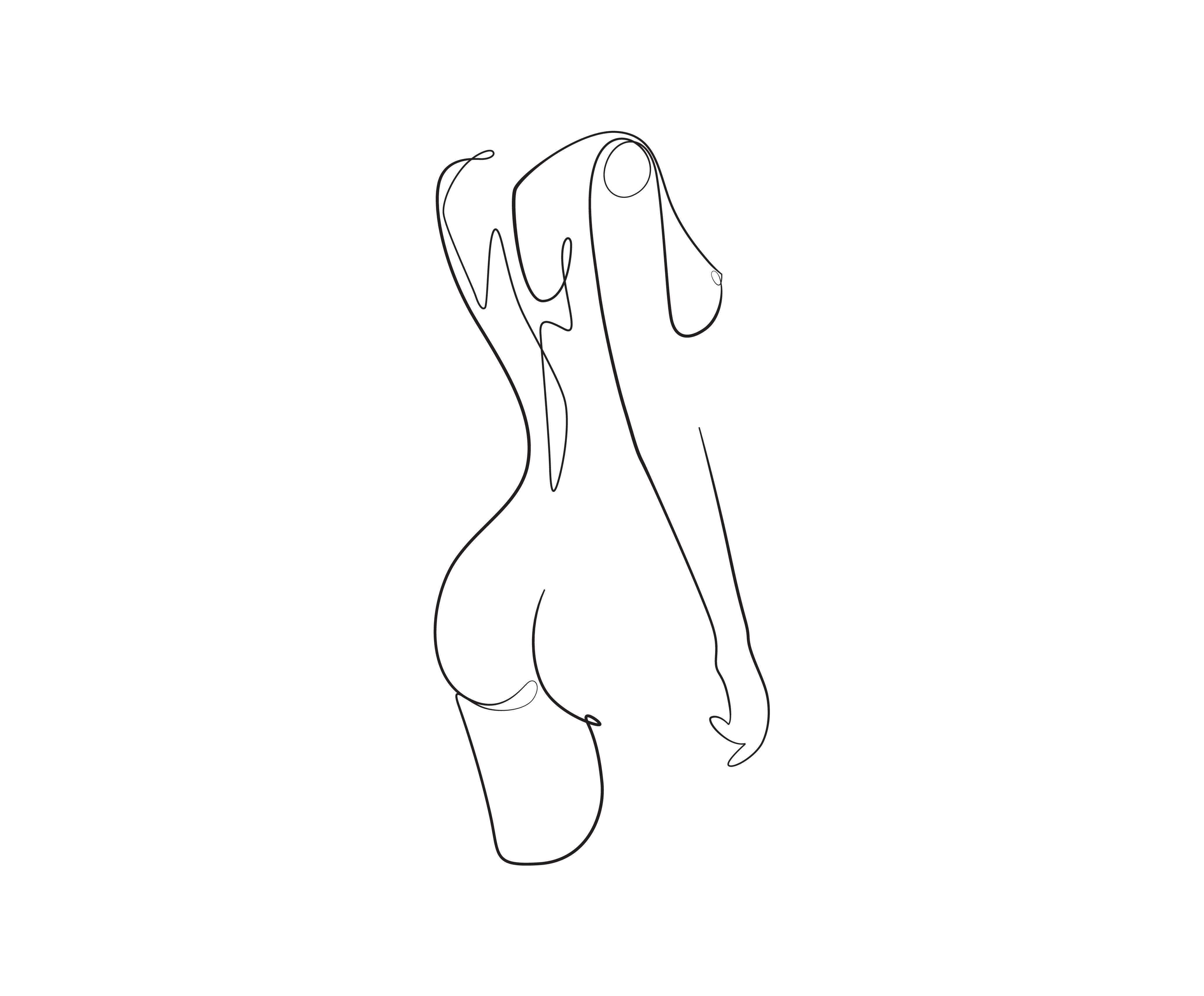 Example of Custom Line Art Illustration