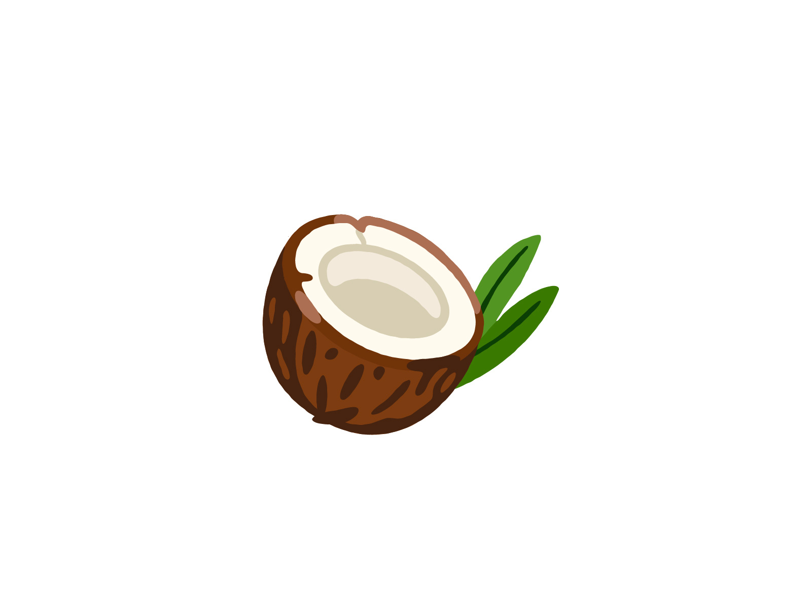 Coconut 🥥 coconut flat icon iconographic illustration vector