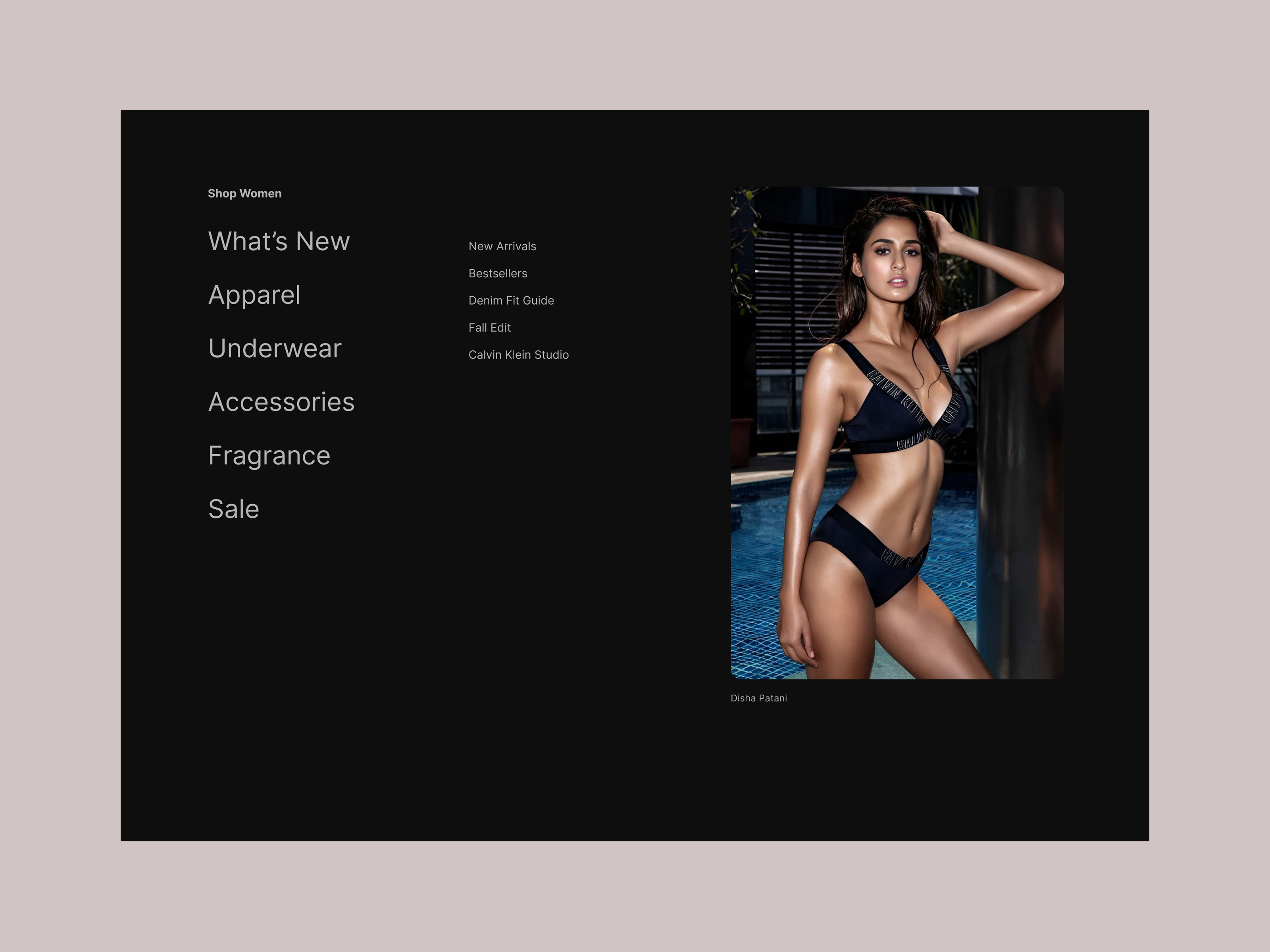 Example of Fashion Brand - Navigation