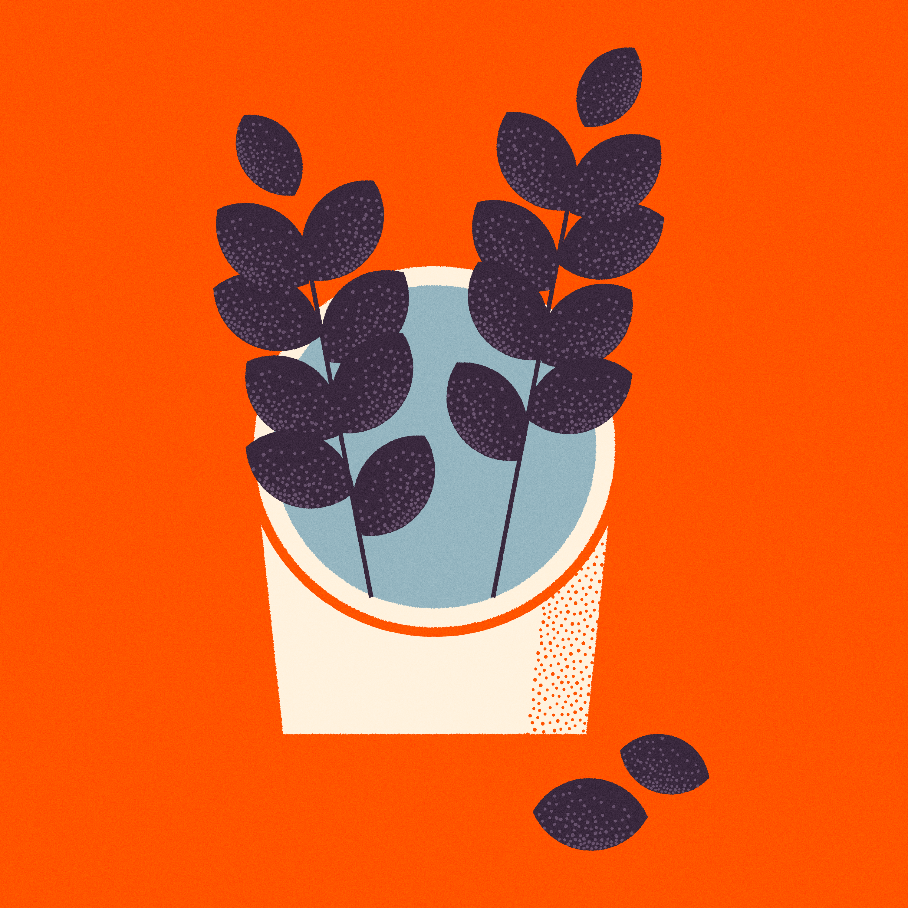 Red ZZ color palette design flower pots illustration plant illustration plants texture zz plant