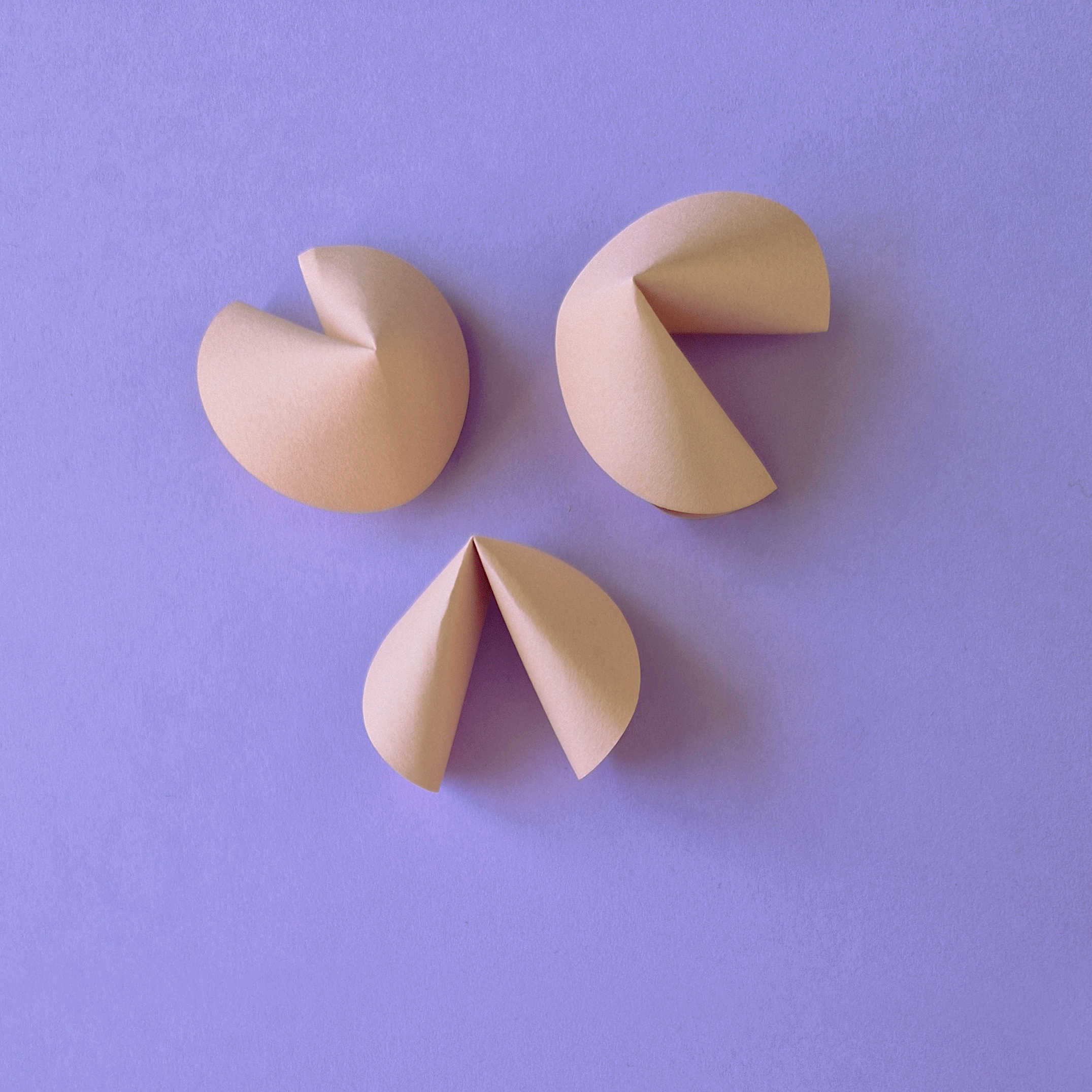 Happy Valentine's Day ! ✂️ colorful cookies craft cute design fortune cookies fun gif graphic design love message paper paper artiste paper cut papercraft papercut purple set design valentines day yummi