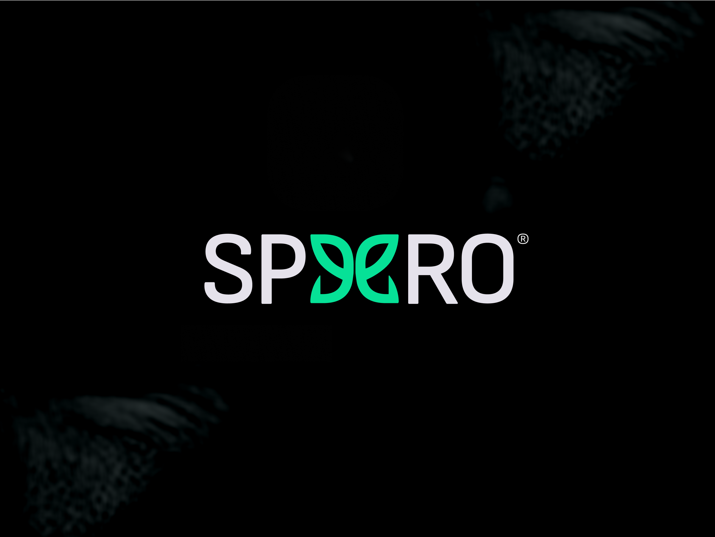 Example of Brand Logo Design • 3 Custom Concepts