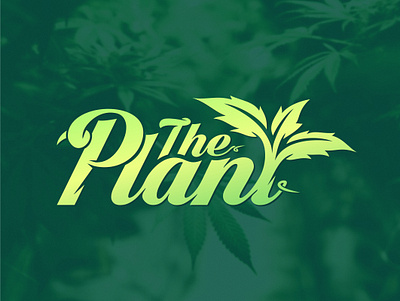 The Plant Cannabis abstract cannabis cbd graphic design hemp logo organic plant thc vector weed