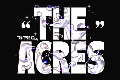 TAN - ACRES bold bold display display font display type fashion font firm fluid fun serif font tan acres