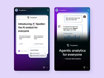 Thoughtspot - IG Story Ads instagram ads