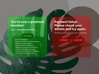 Flash Messages for a subscription plan #dailyui dailyui fail flash message subscription plan succes ui