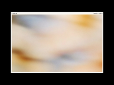 FLORET Blurred Flower Backgrounds aesthetic background blur blurred botanical branding design floral flower grain minimalist modern motion noise photo photo style presentation template texture wallpaper