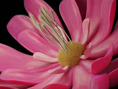 Pink flower blender flower illustration pink