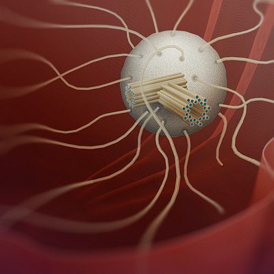 Cytoskeleton Microtubules adobe illustrator biological illustration biology cell cytoskeleton illustration microbiology microtubules science scientific illustration vector