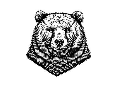 Beauty Bear Face Vintage Logo animal bear beauty brand branding face for sale head illustration logo mark nagual design national park
