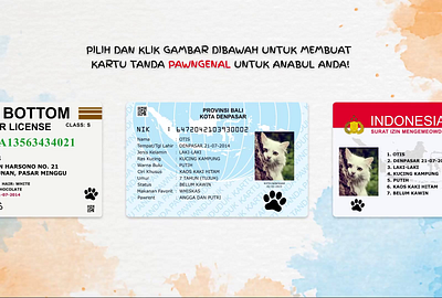 Pet Identity Card Generator animal card cat design generator gif identification namecard pet ui ux video web