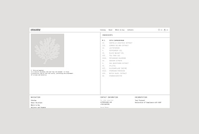E-commerce website for eco-brand Ensome | About page branding design e commerce online shop ui ux web design