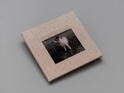 aia, 2015 book design editorial graphic design minimal typography