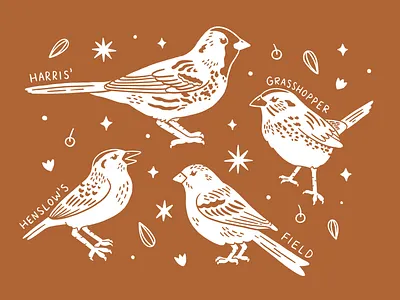 SparrowFest T-shirt design art drawing illustration nature procreate tshirt