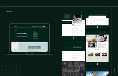 The 1559 Collective Brand Guidelines branding collective contemporary design development economic identity branding website