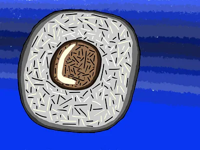 longan clipstudiopaint csp digitalart digitalillustration foodart fruit illustration longan stillife