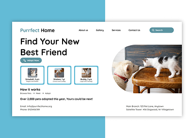 Purrfect Home: Pet Adoption Website Landing Page animal shelter landing page pet adoption pets website