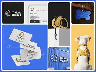Trident Rescue - Logo & Branding animal logo animals brand brand idemtity branding design dog graphic design illustration illustration logo logo logo design logo designer logotype modern pet pet logo
