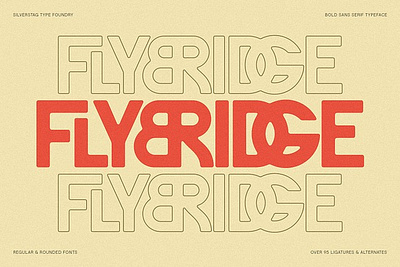 FlyBridge - Bold Ligature Rich Sans 90 languages 95 ligatures bold font edgy font headline font high impact font ligature font logo font minimalist font packaging font poster font sans serif font social media font unique font versatile font