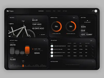 Bike Performance Dashboard UI dashboard ui