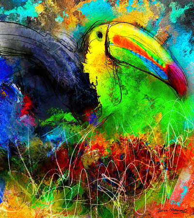 Toucan