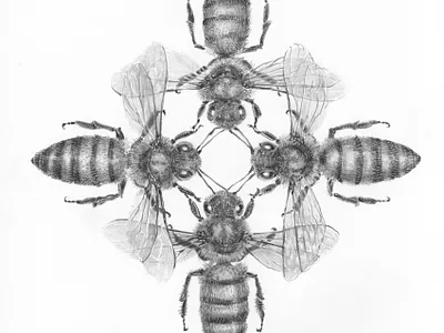 4 bees design illustration logo