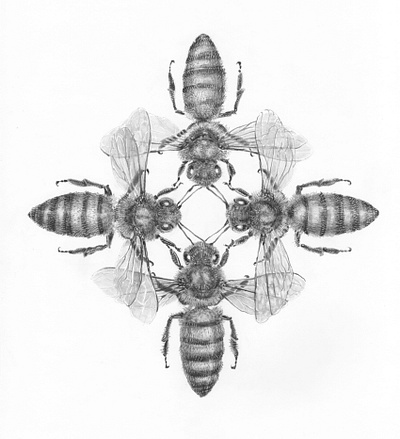 4 bees design illustration logo