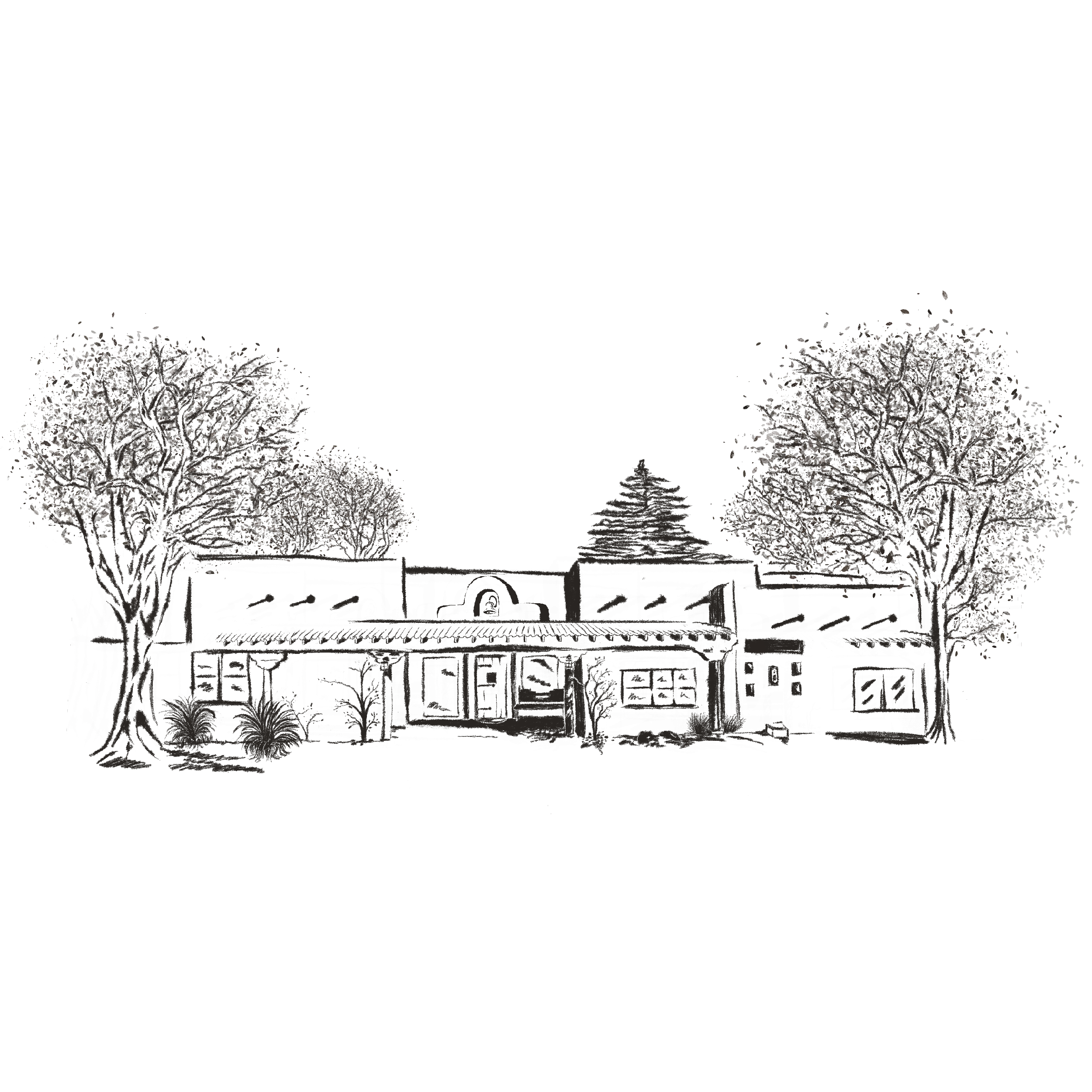 Digital Illustrations for CAC Icons/Story Features detailed digital fishing icons illustration landscape pets portraits procreate web