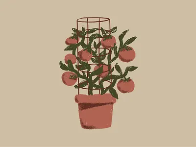SPD Illos #11 - Potted Plant editorial illustration plant pot tomato