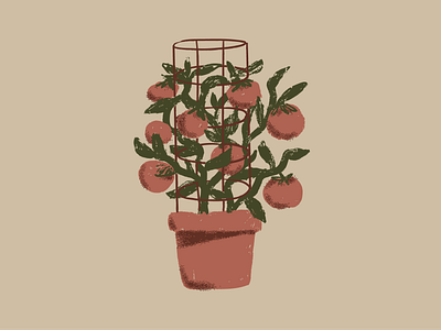 SPD Illos #11 - Potted Plant editorial illustration plant pot tomato