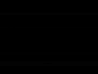 Example of Shot