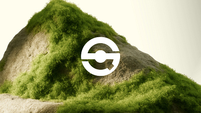 Q-Selection - Visual Identity and Branding brand brand building brand design branding design experience figma graphic design illustrator logo visual identity world building