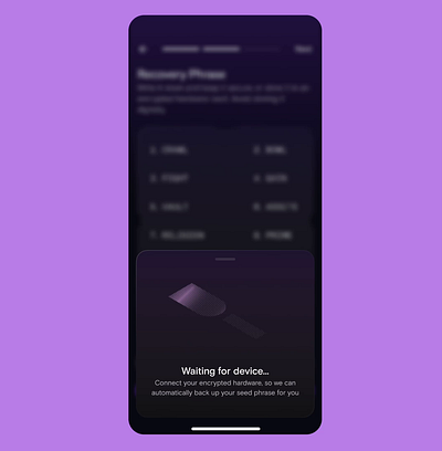 Backup seedphrase animation branding clean design figma interaction design recovery phrase seed phrase ui wallet web3