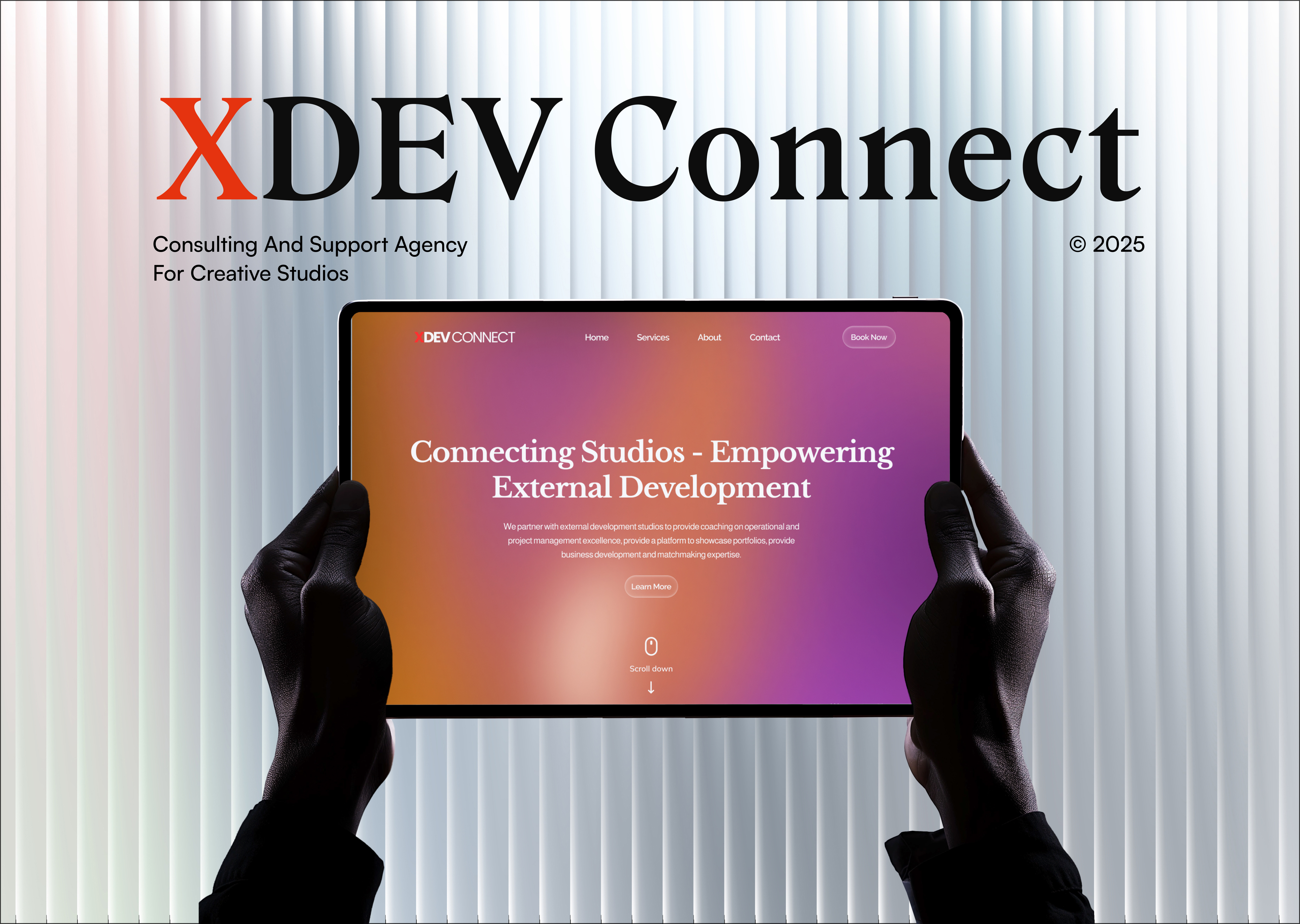 Example of Webflow Web Design & Development Services