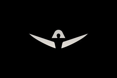 Human Wings Logo art branding design flat graphic design icon illustration illustrator logo logo design minimal vector