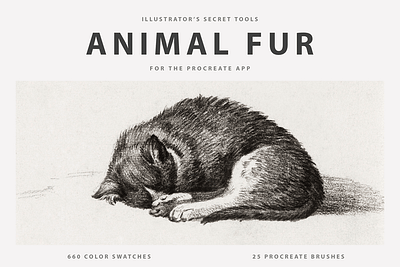 Animal Fur Procreate Brushes & Color Swatches 3d animation graphic design motion graphics