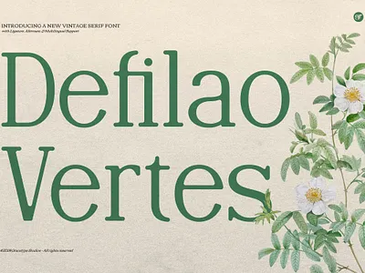 Defilao Vertes | New Vintage Serif serif typeface
