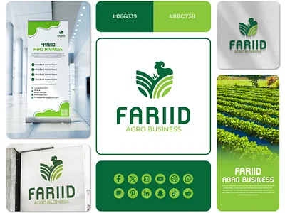 Organic brand identity guidelines modern logo design