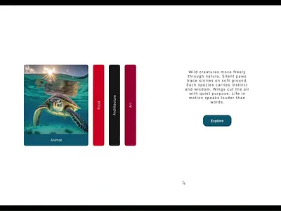 Elegant Slider with Figma animation branding slider ui